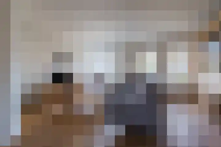 Korenstraat 15 Hoogeveen thumbnail 11