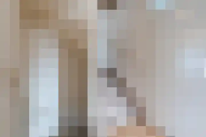 Korenstraat 15 Hoogeveen thumbnail 31