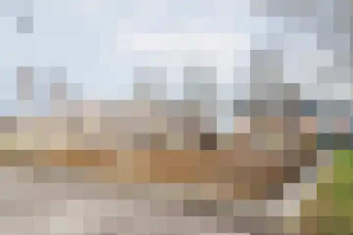 Korenstraat 15 Ulft thumbnail 36