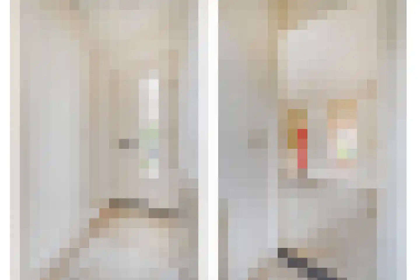 Korenstraat 17 Olst thumbnail 6