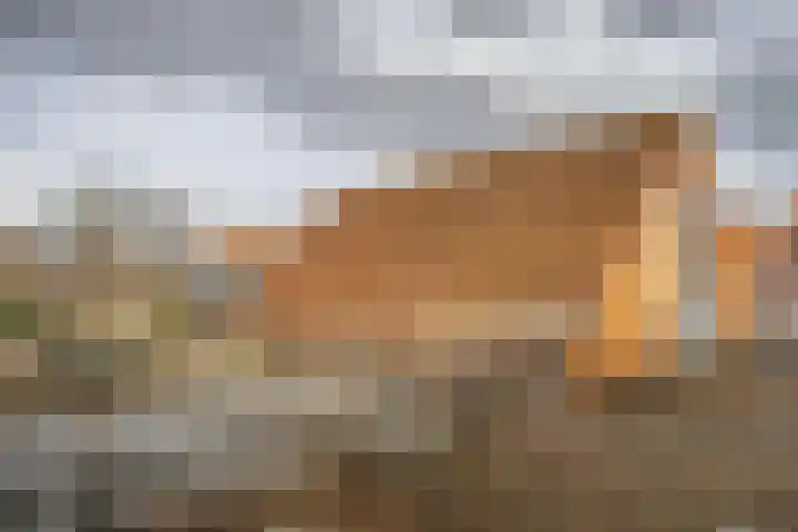 Korenstraat 18 Moergestel thumbnail 37