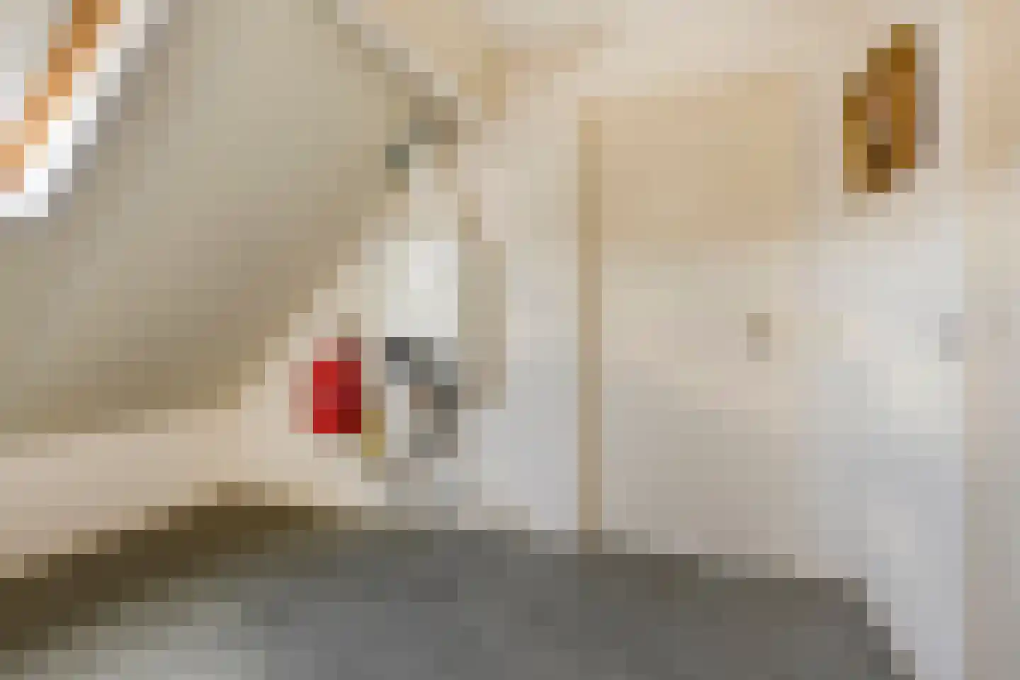 Korenstraat 2 Moergestel thumbnail 24