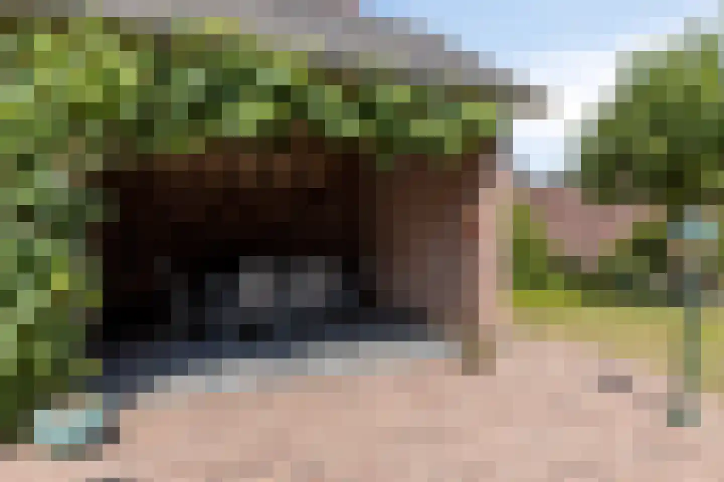 Korenstraat 2 Moergestel thumbnail 38