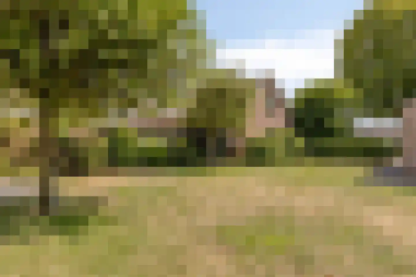 Korenstraat 2 Moergestel thumbnail 41