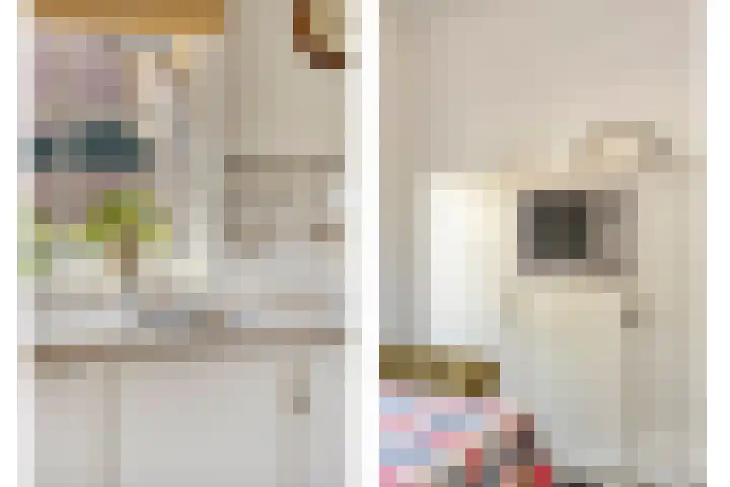 Korenstraat 2 Moergestel thumbnail 9