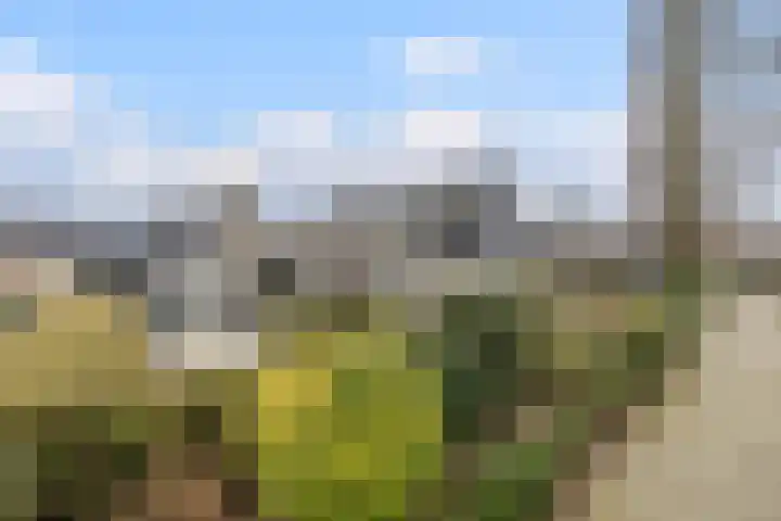 Korenstraat 25 in Hoogeveen