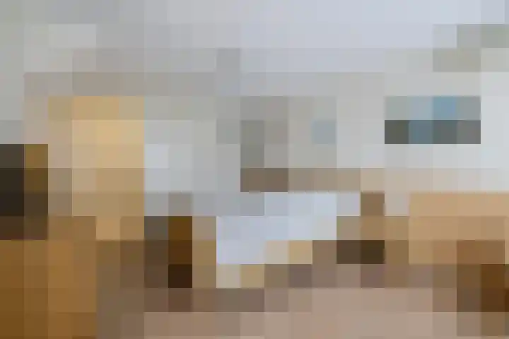 Korenstraat 25 Hoogeveen thumbnail 30