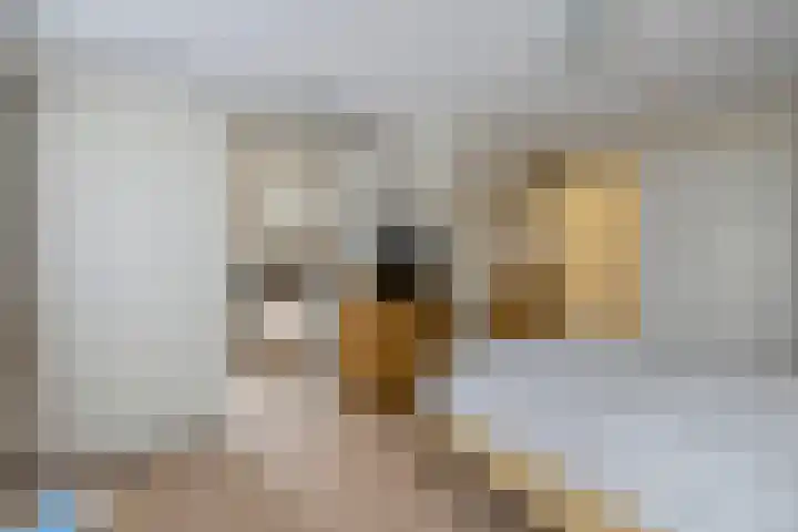 Korenstraat 25 Hoogeveen thumbnail 31