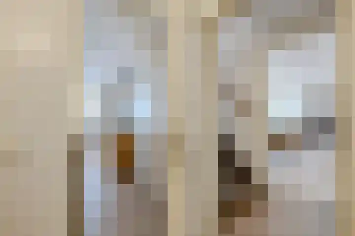 Korenstraat 25 Hoogeveen thumbnail 37