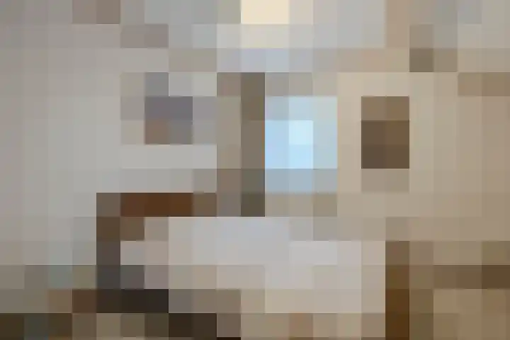 Korenstraat 25 Hoogeveen thumbnail 41