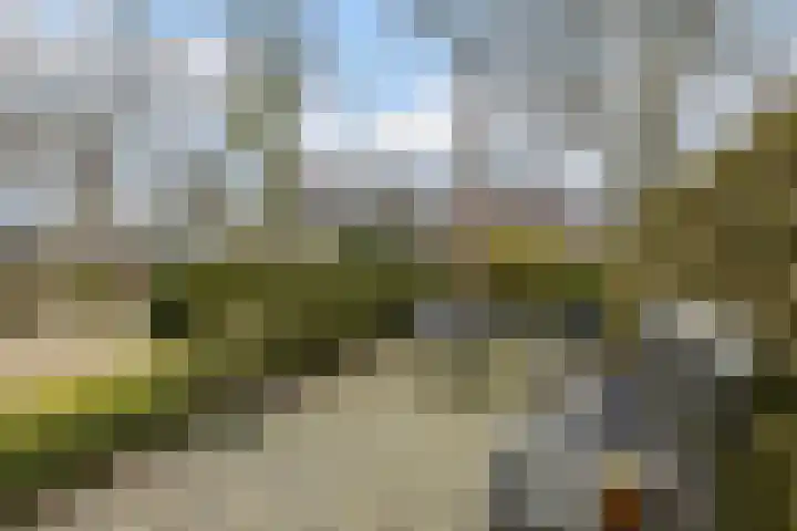Korenstraat 25 Hoogeveen thumbnail 50