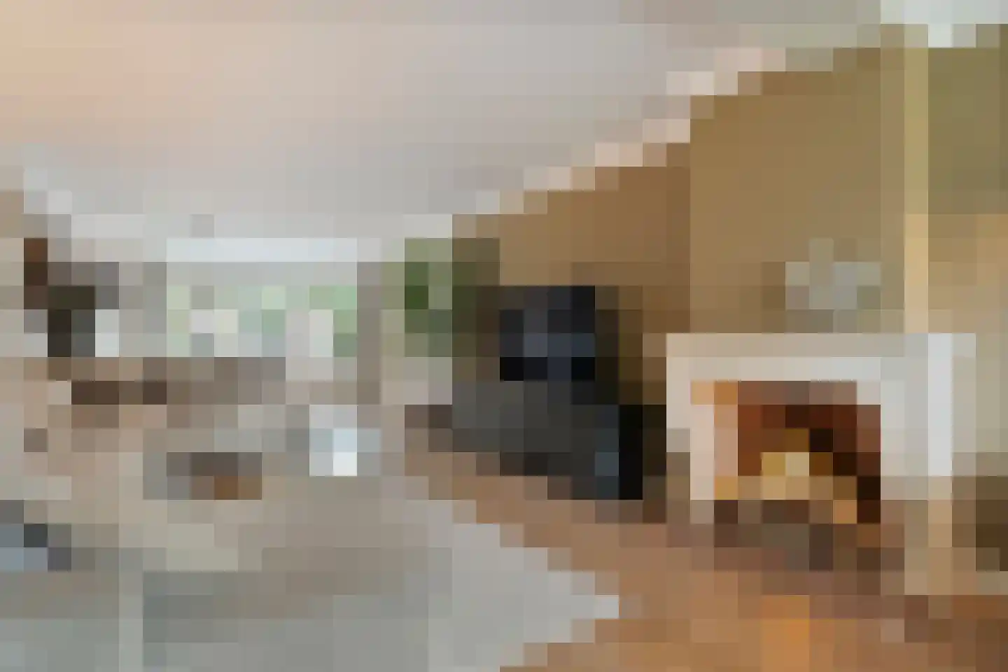 Korenstraat 27 Raalte thumbnail 12