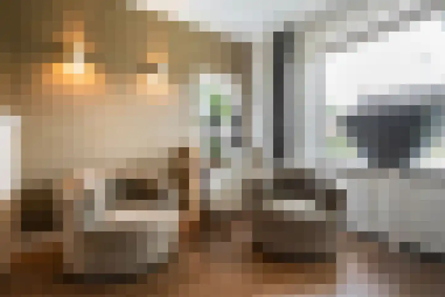Korenstraat 27 Raalte thumbnail 13