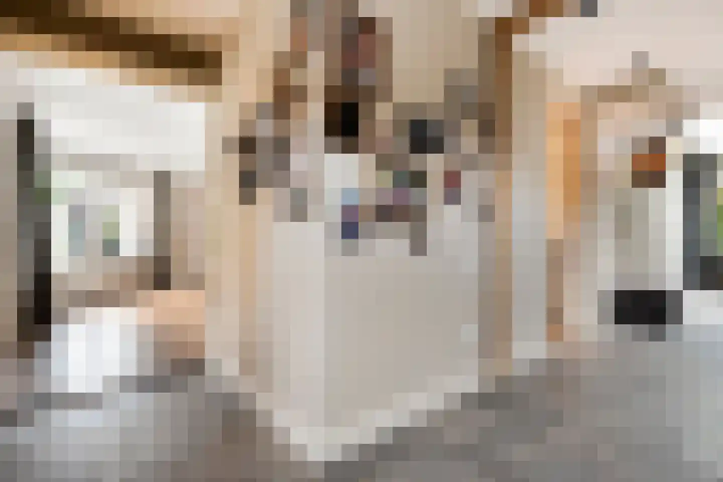 Korenstraat 27 Raalte thumbnail 31
