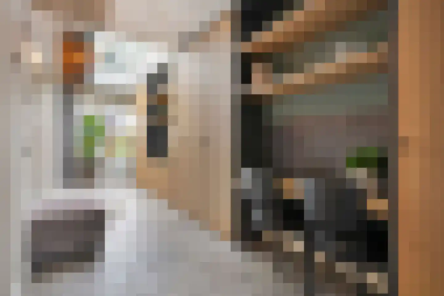 Korenstraat 27 Raalte thumbnail 32