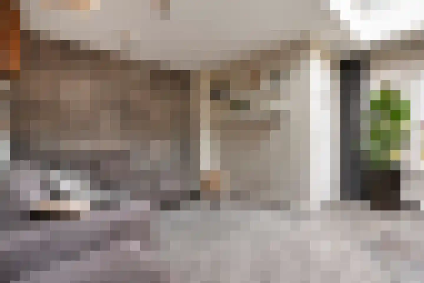 Korenstraat 27 Raalte thumbnail 33