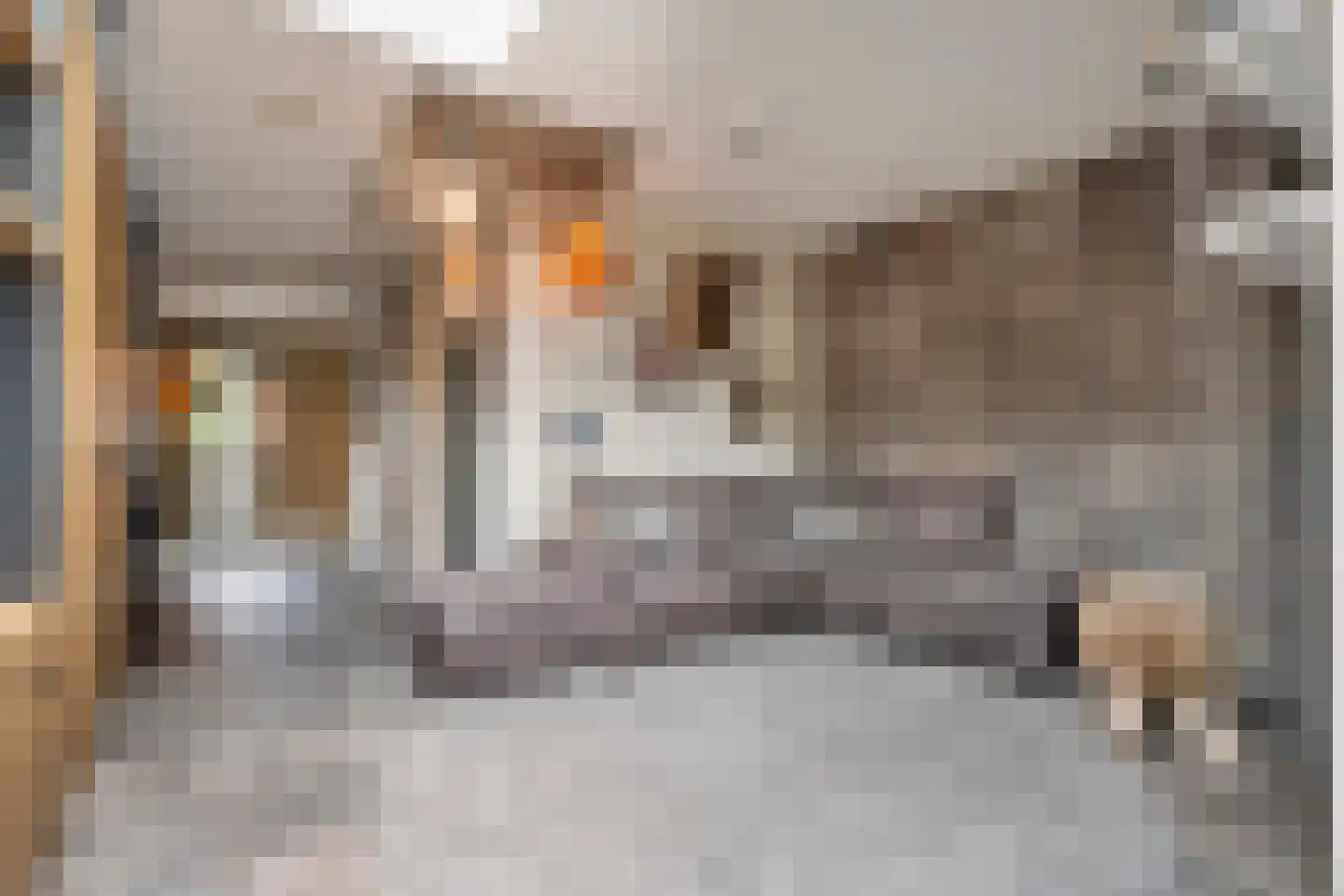 Korenstraat 27 Raalte thumbnail 34