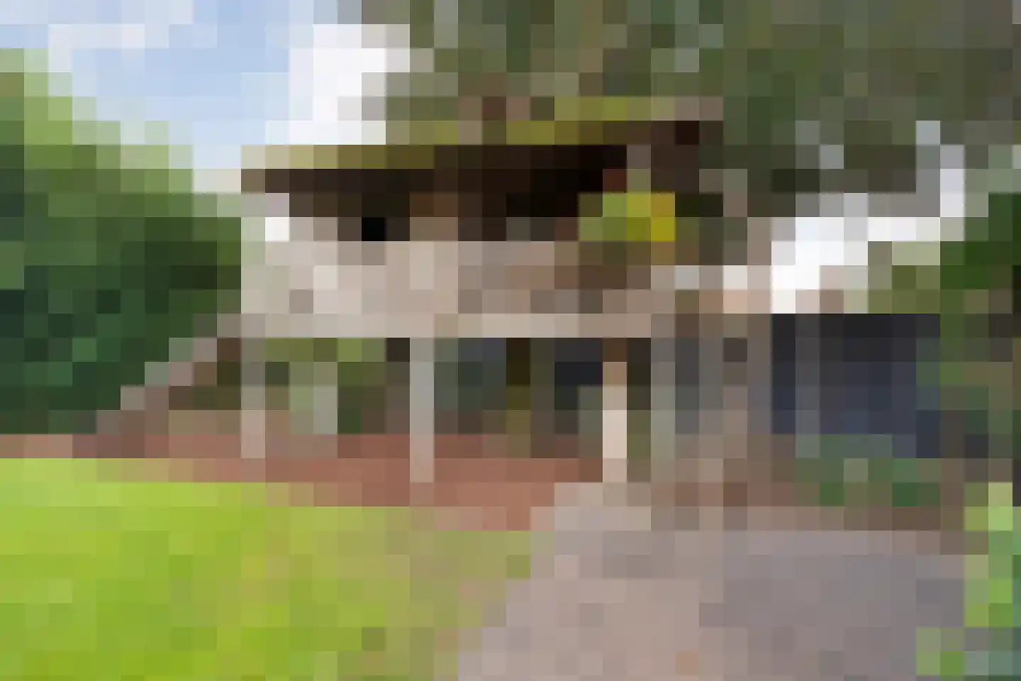 Korenstraat 27 Raalte thumbnail 60