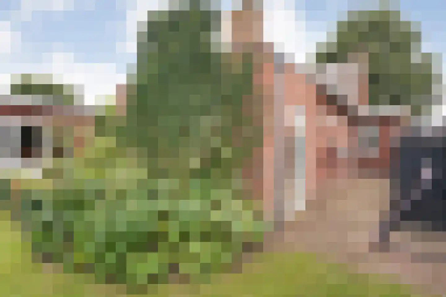 Korenstraat 27 Raalte thumbnail 61
