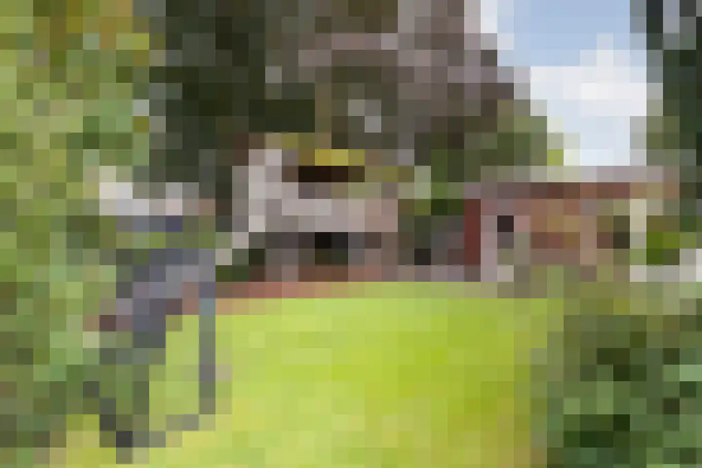 Korenstraat 27 Raalte thumbnail 62