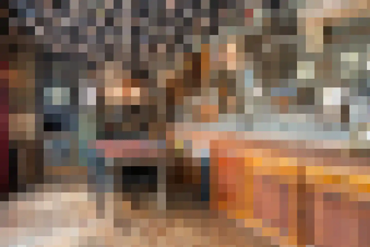 Korenstraat 27 Raalte thumbnail 66