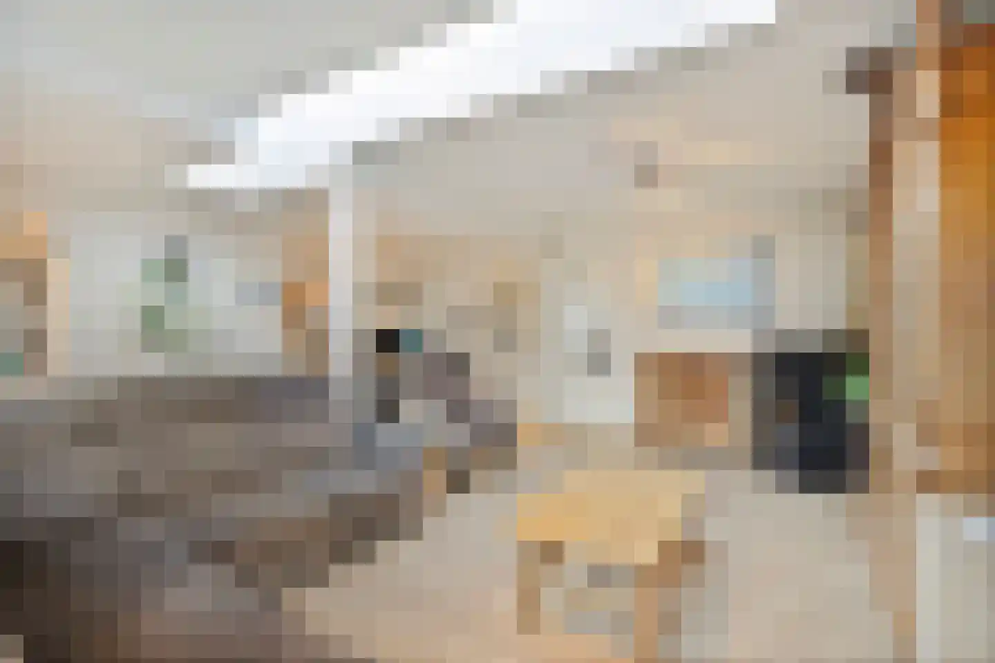 Korenstraat 28 Kreileroord thumbnail 12