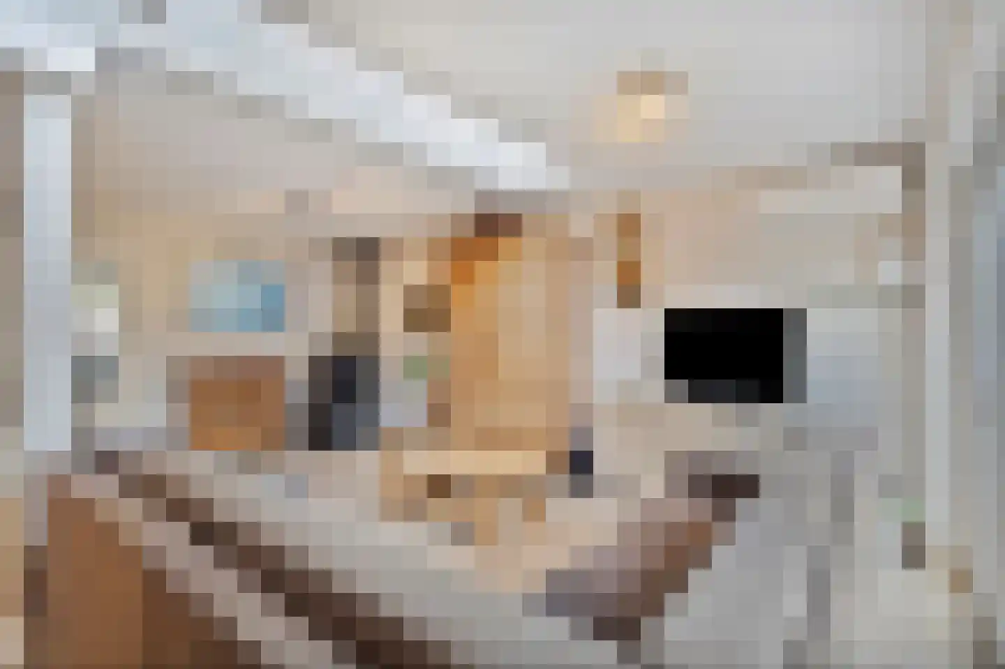 Korenstraat 28 Kreileroord thumbnail 13