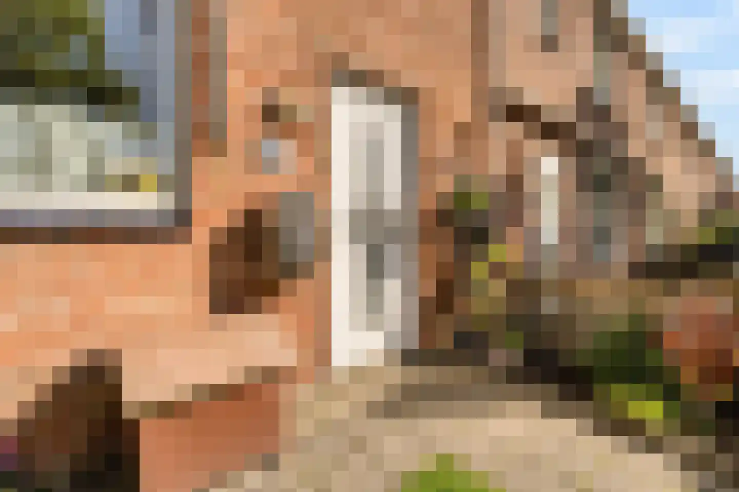 Korenstraat 28 Kreileroord thumbnail 6