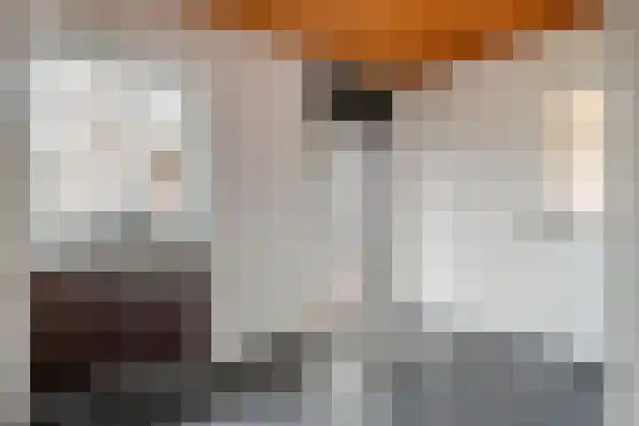 Korenstraat 3 Bergharen thumbnail 15
