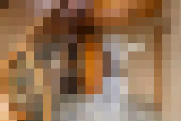 Korenstraat 3 Bergharen thumbnail 19
