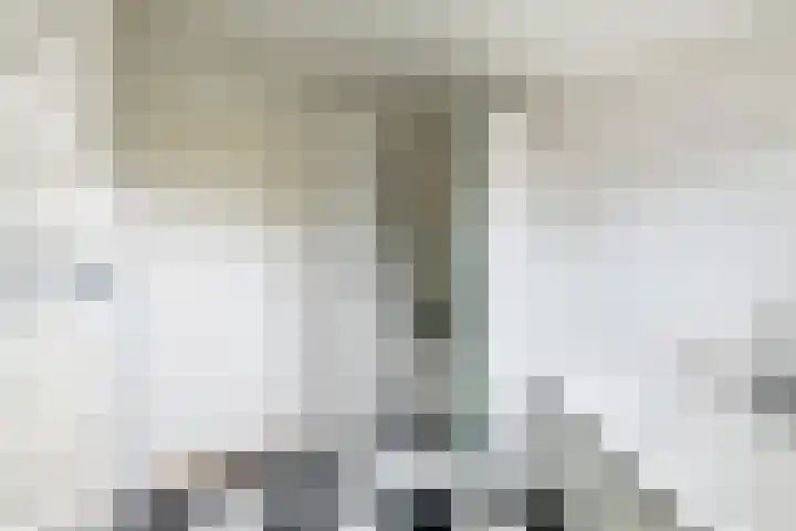 Korenstraat 3 Bergharen thumbnail 29