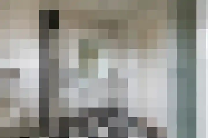 Korenstraat 3 Bergharen thumbnail 30