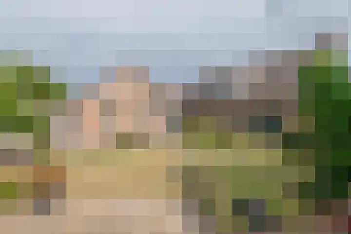 Korenstraat 3 Bergharen thumbnail 31