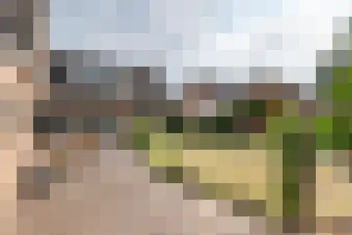 Korenstraat 3 Bergharen thumbnail 32