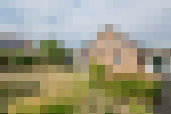 Korenstraat 3 Bergharen thumbnail 33