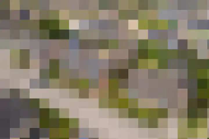 Korenstraat 3 Bergharen thumbnail 36