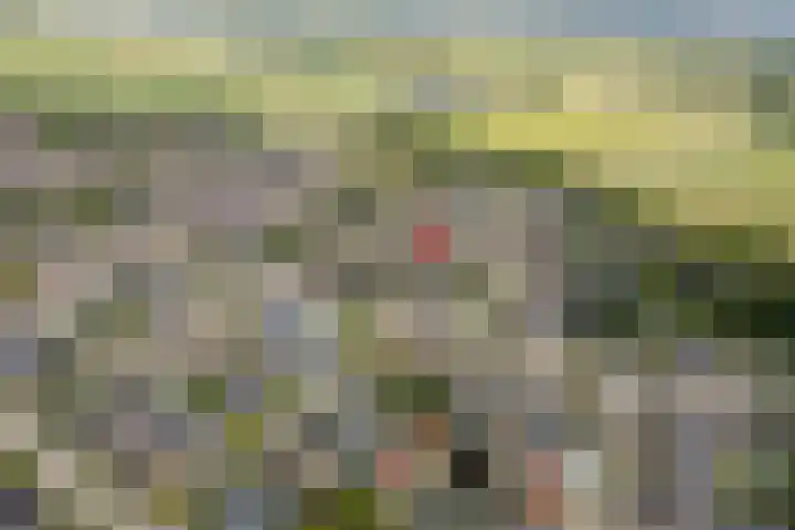 Korenstraat 3 Bergharen thumbnail 37