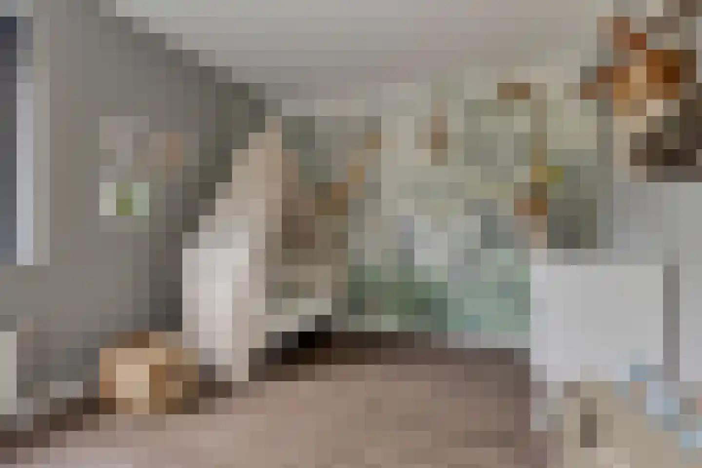 Korenstraat 3 Berghem thumbnail 17