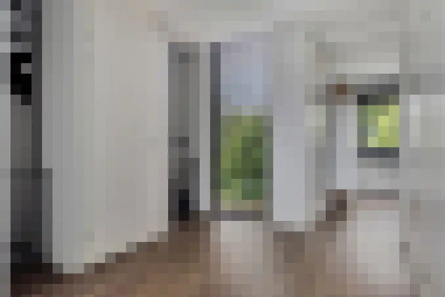 Korenstraat 3 Berghem thumbnail 21