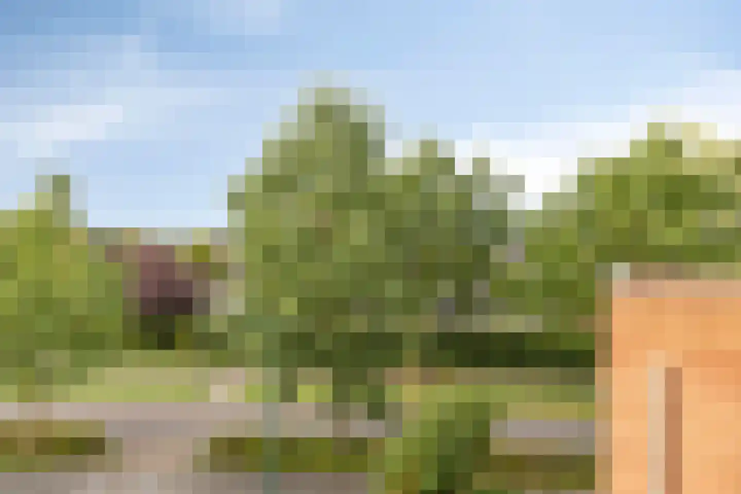 Korenstraat 3 Berghem thumbnail 27