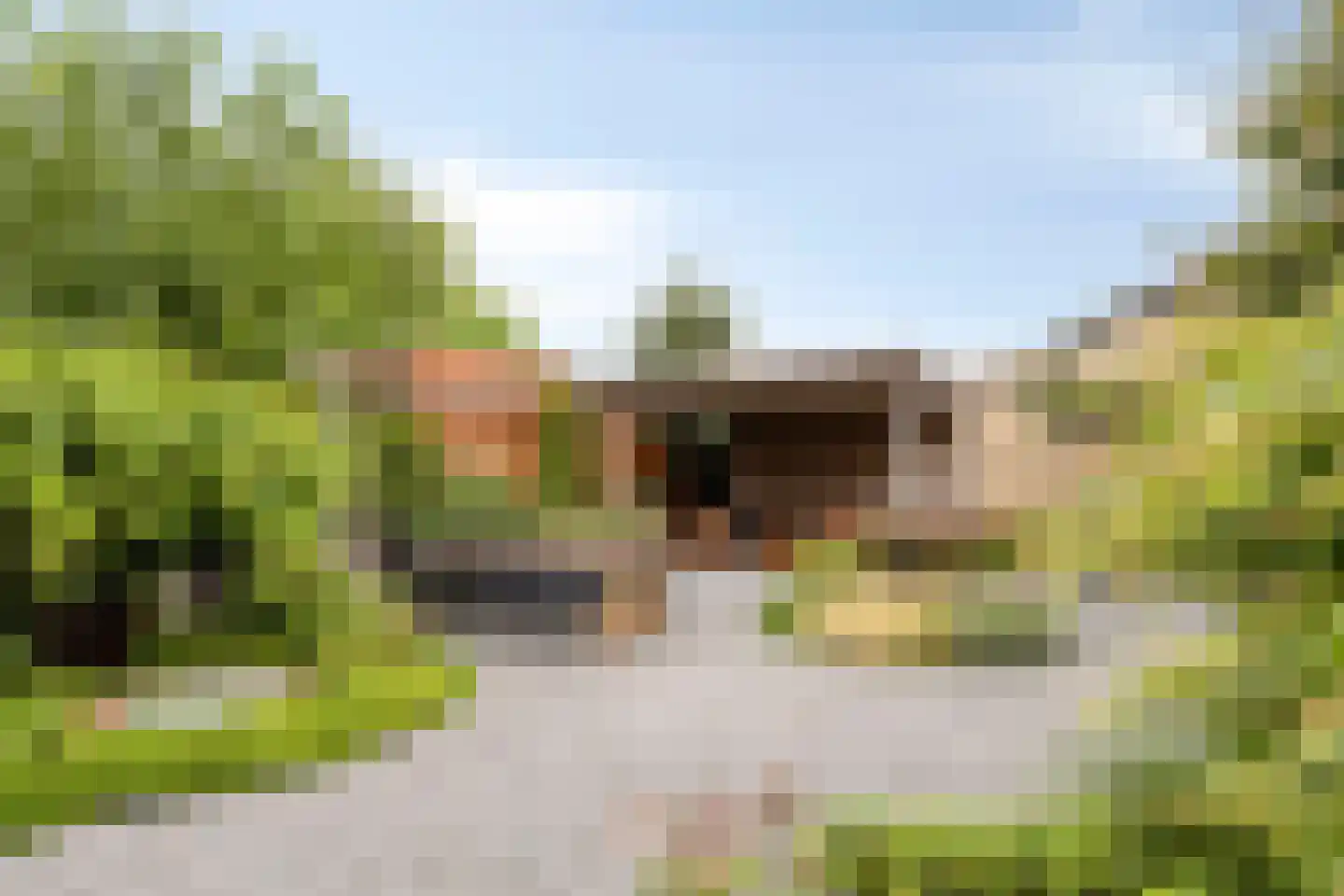 Korenstraat 3 Berghem thumbnail 29