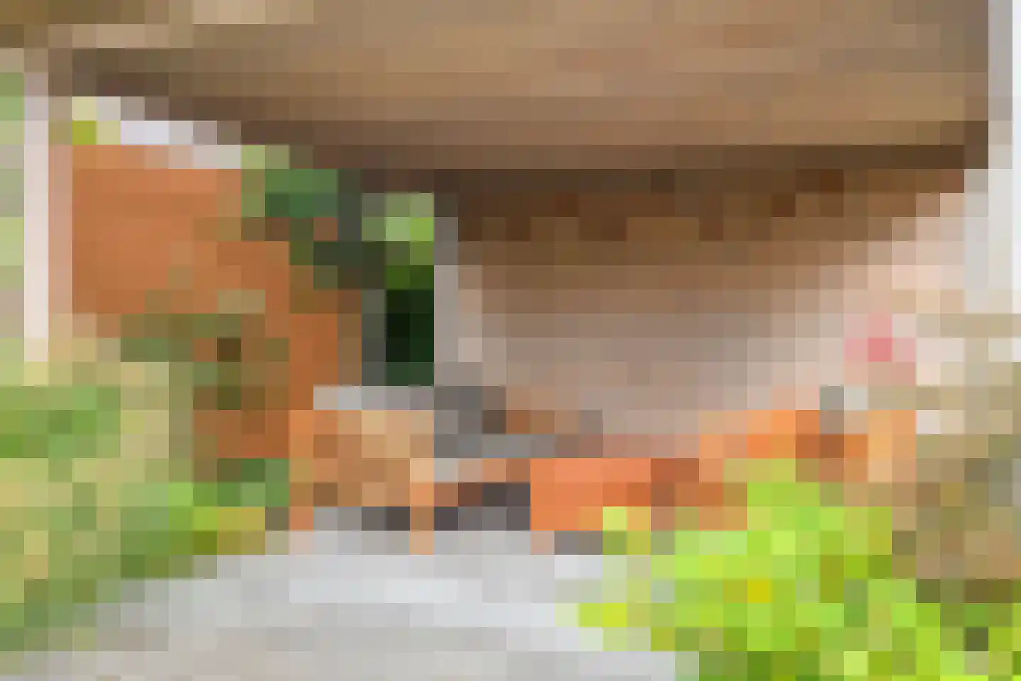 Korenstraat 3 Berghem thumbnail 31