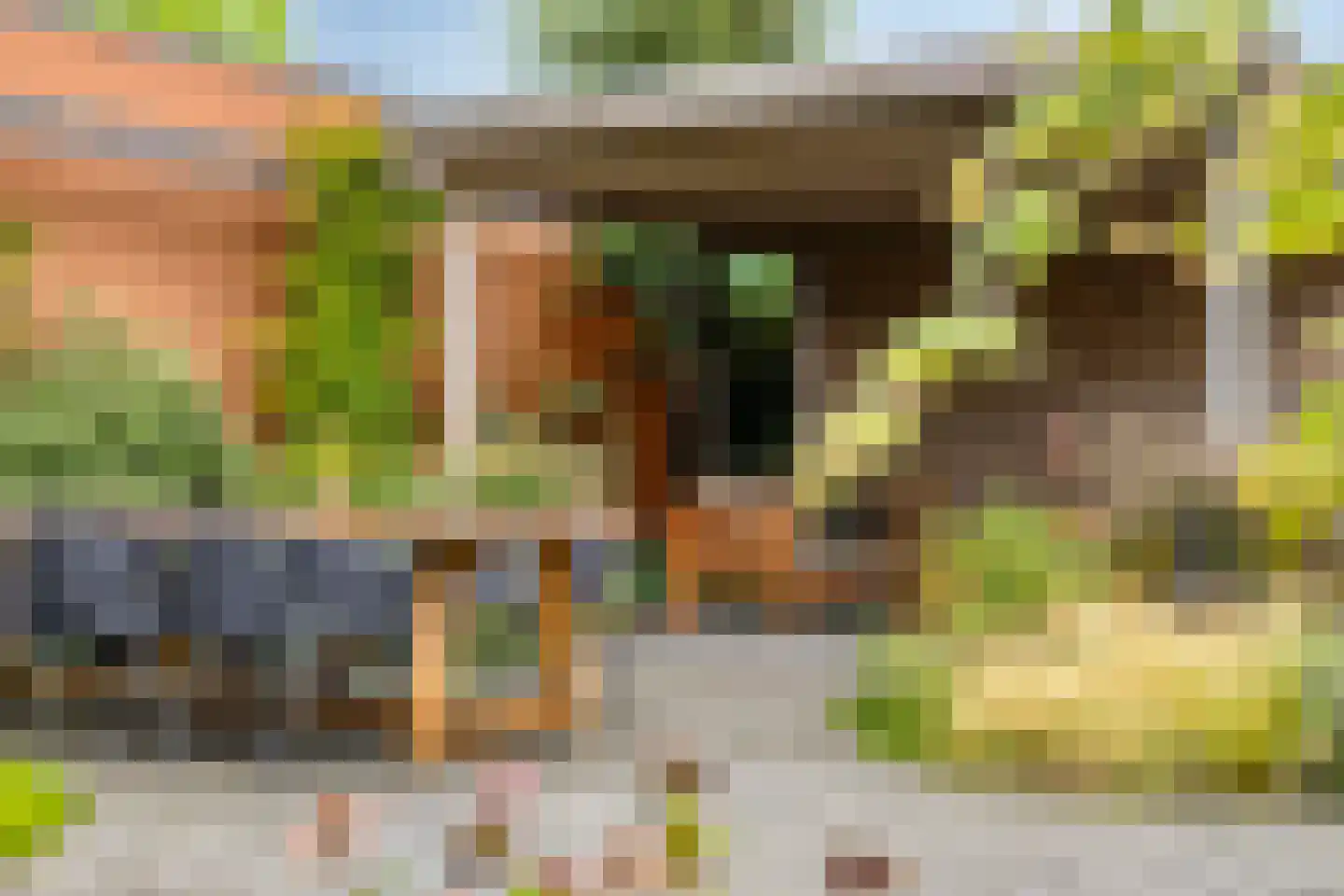 Korenstraat 3 Berghem thumbnail 34