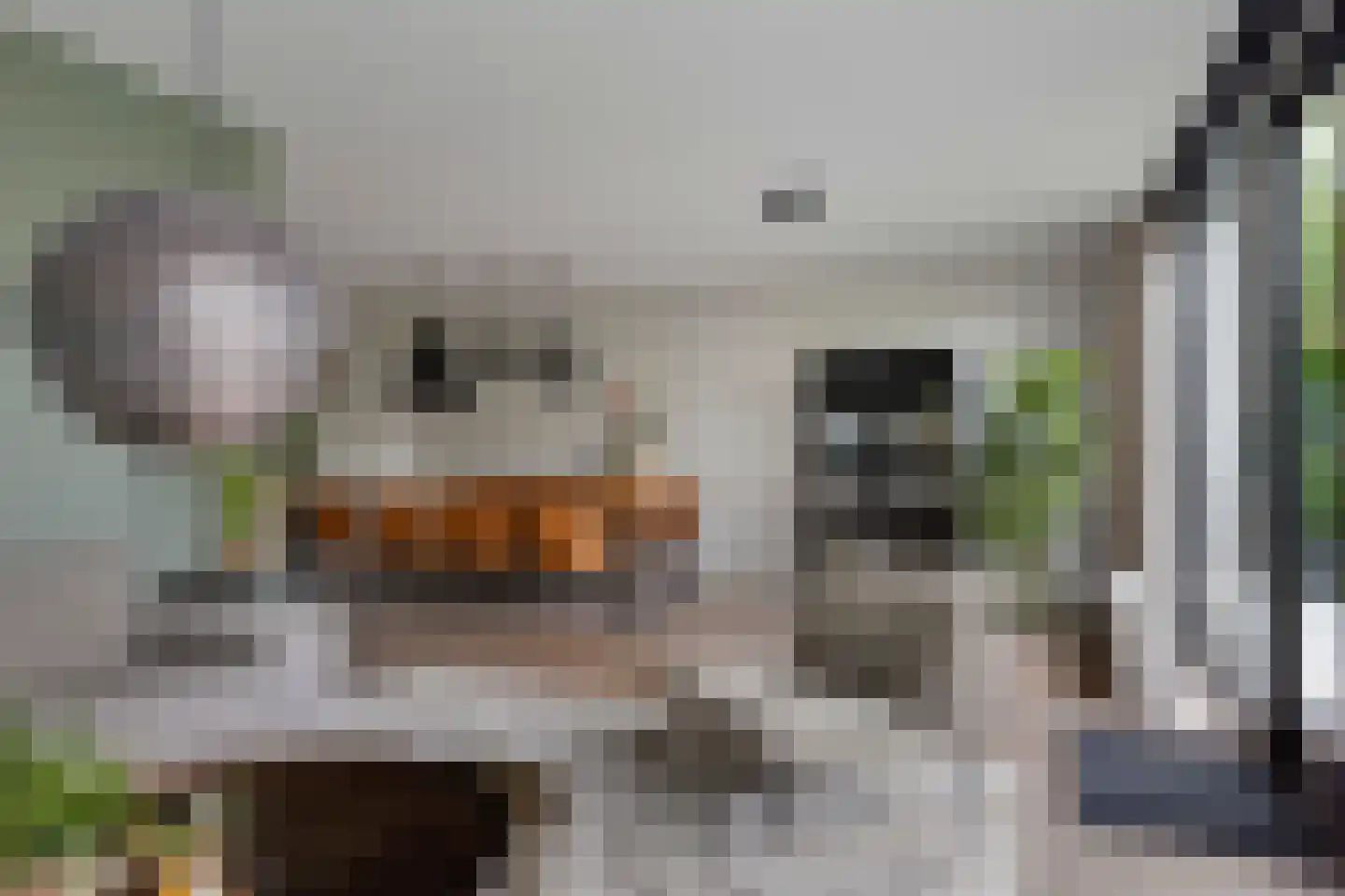 Korenstraat 3 Berghem thumbnail 5