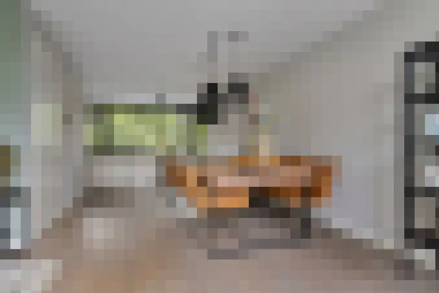 Korenstraat 3 Berghem thumbnail 7