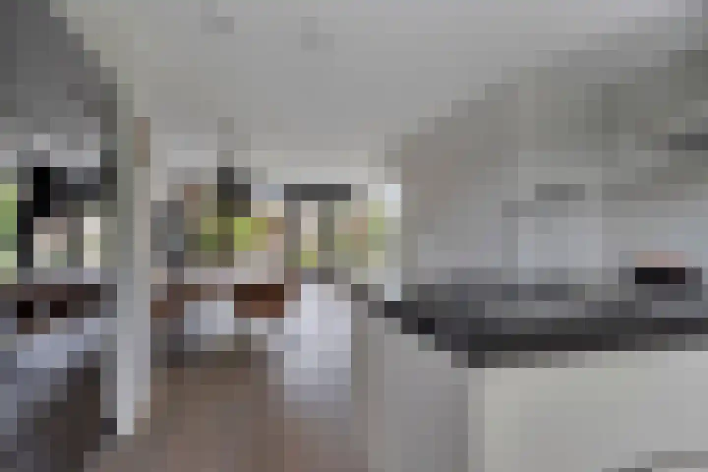 Korenstraat 3 Berghem thumbnail 8