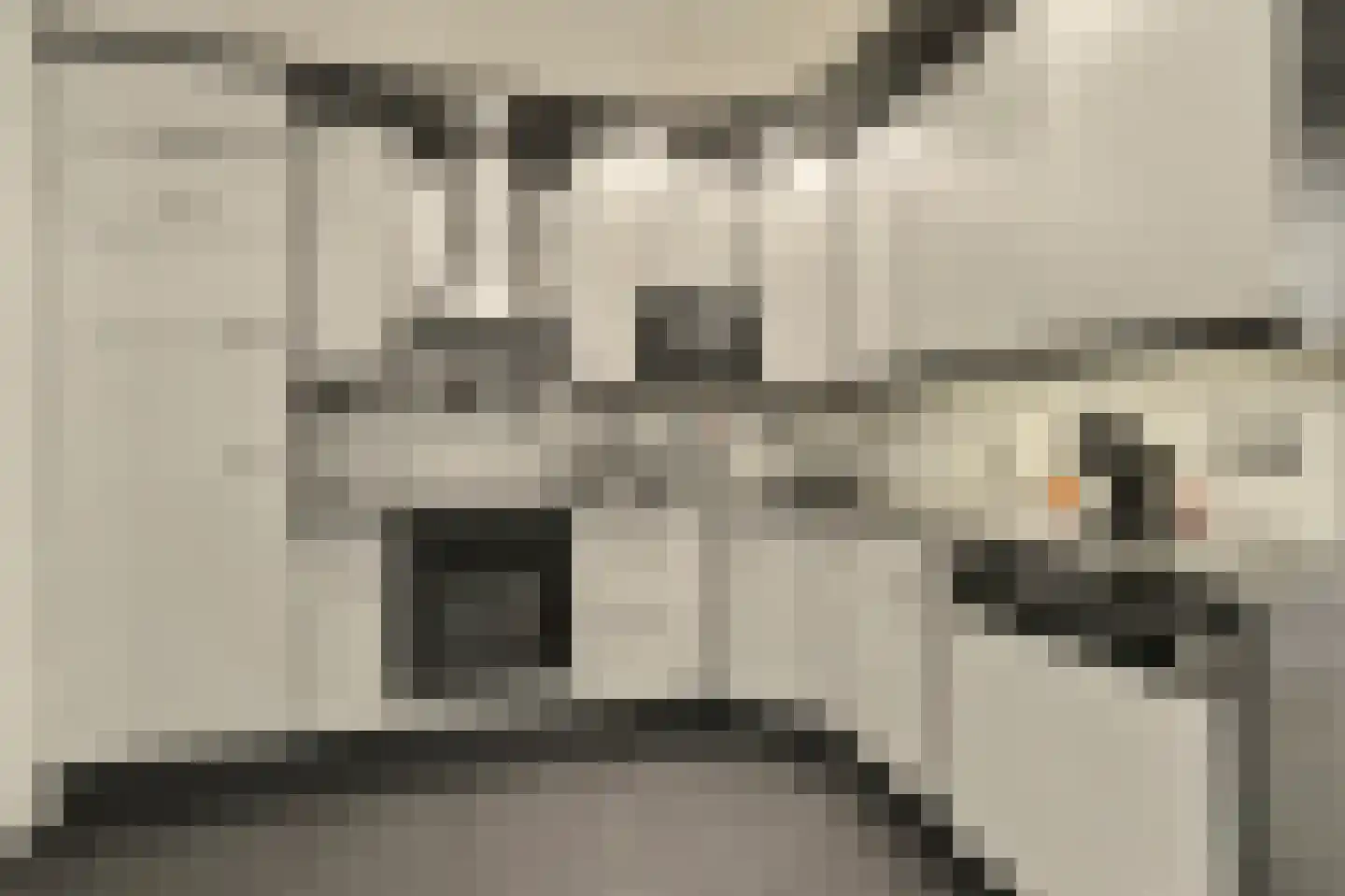 Korenstraat 3 Moergestel thumbnail 11