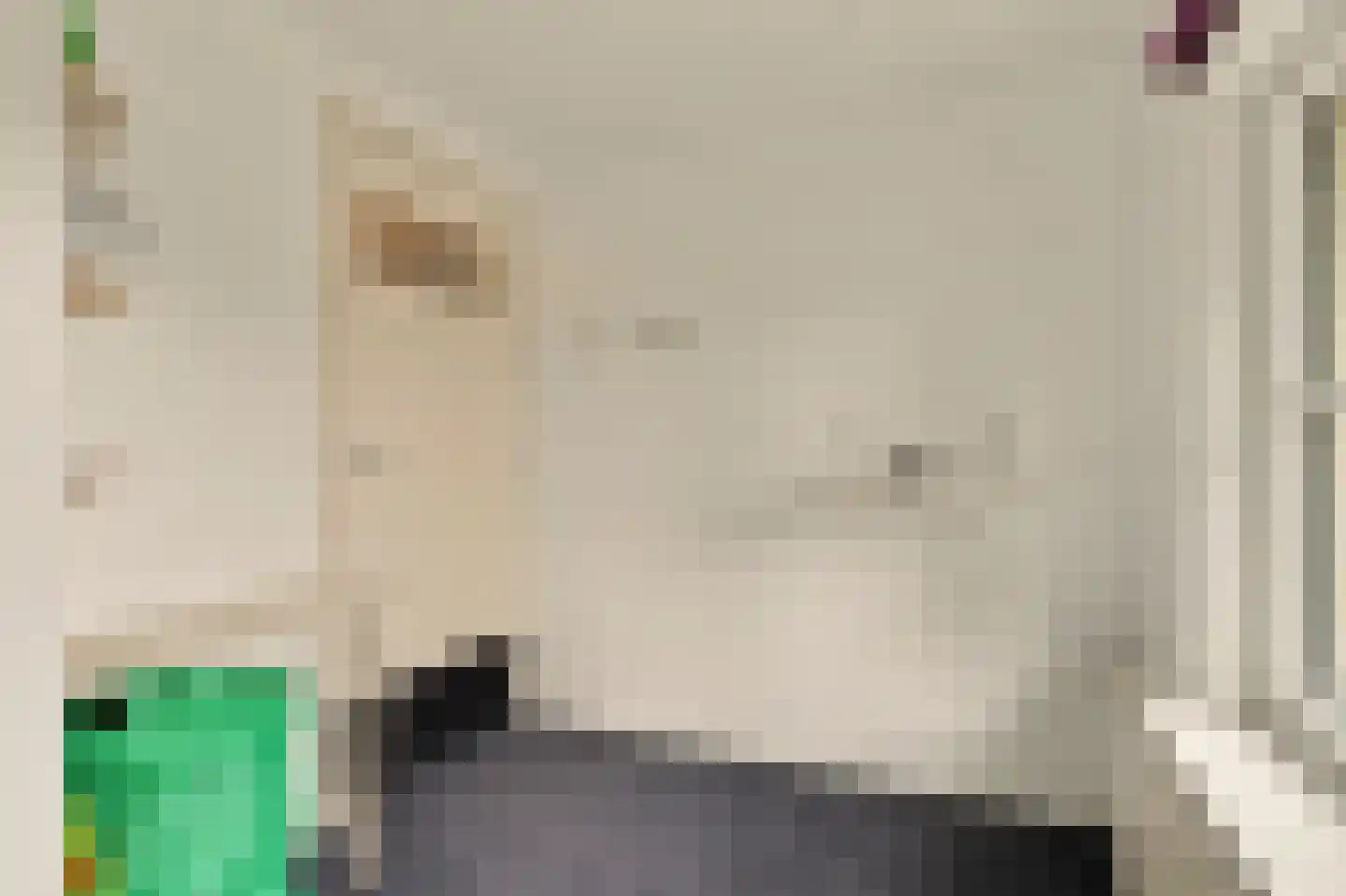 Korenstraat 3 Moergestel thumbnail 22