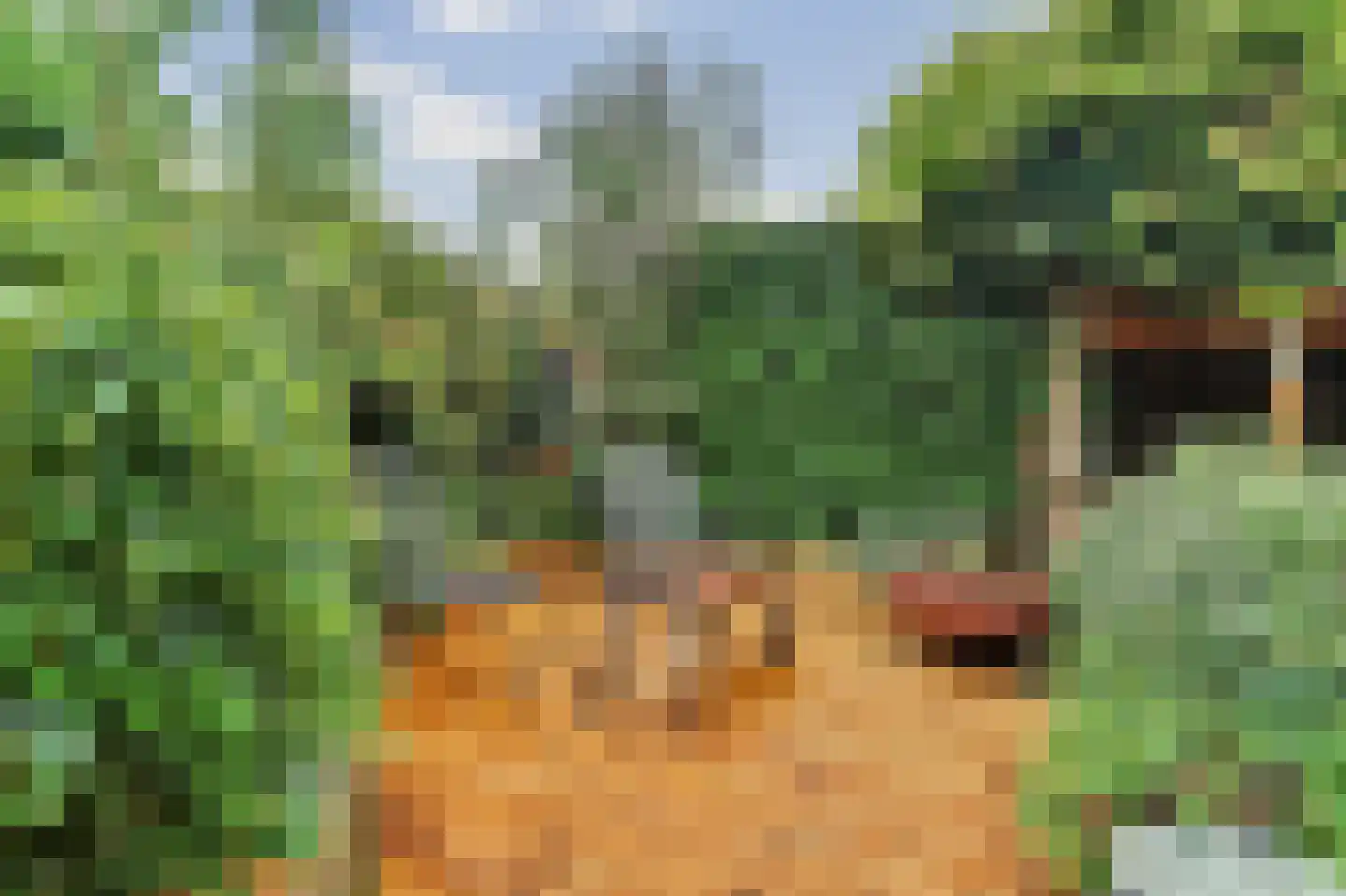 Korenstraat 3 Moergestel thumbnail 30