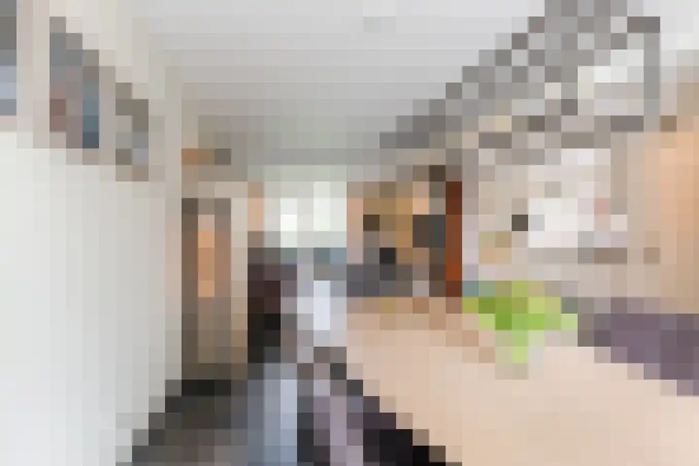 Korenstraat 40 Moergestel thumbnail 10